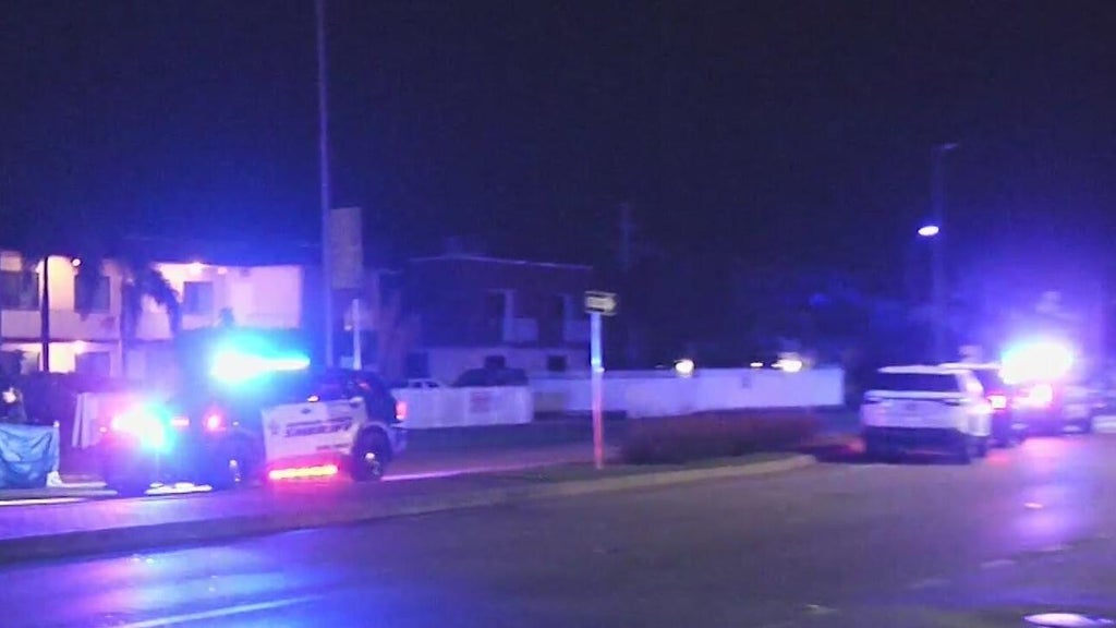Woman accused of killing man in Dania Beach hit-and-run, BSO says — CBS Miami, Santa Cruz Community news