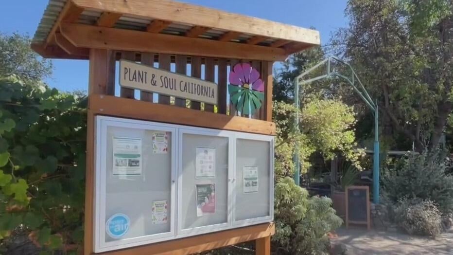 San Jose community garden told to leave as land is sold to developer — CBS Bay Area (KPIX), Santa Cruz Real Estate news