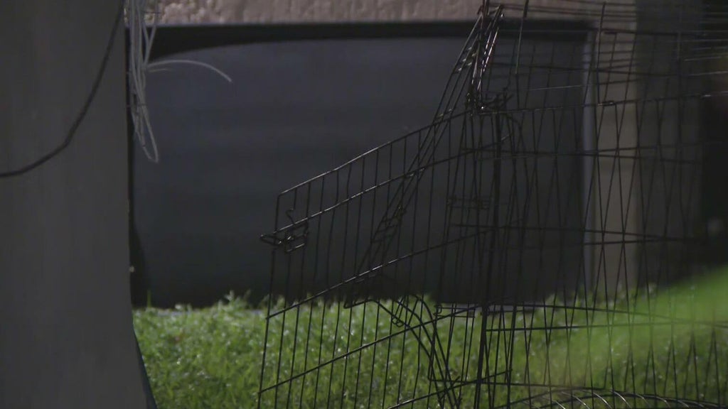 911 call captures frantic report of dog chasing, biting children in Miami — CBS Miami, Santa Cruz Health news