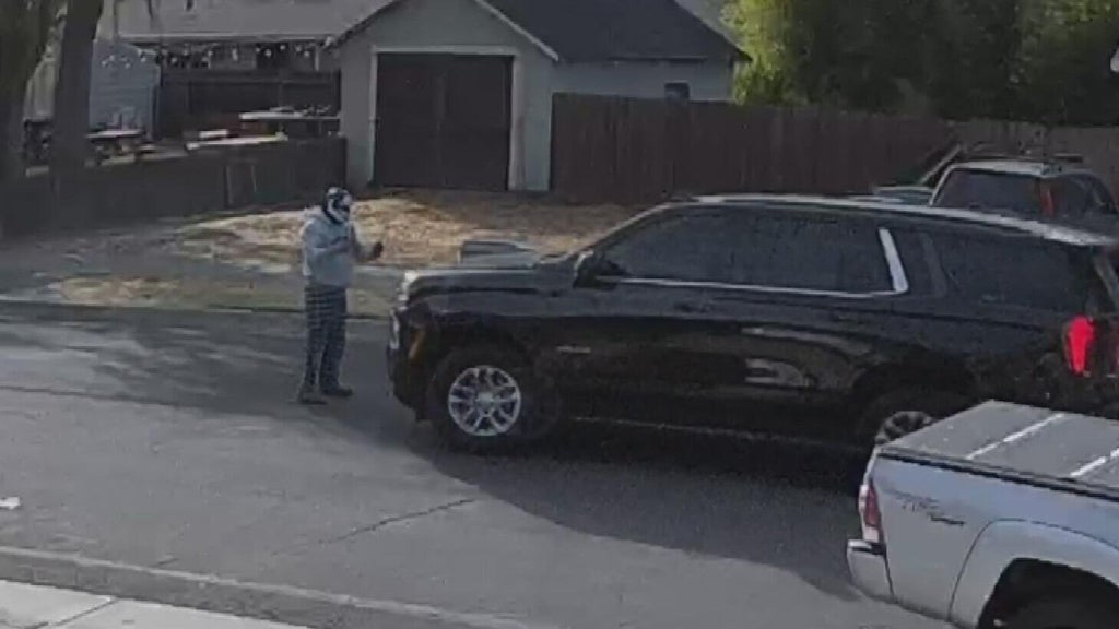 Woodland police dispute DHS account of ICE agent's collision with pedestrian — CBS Bay Area (KPIX), Santa Cruz Health news