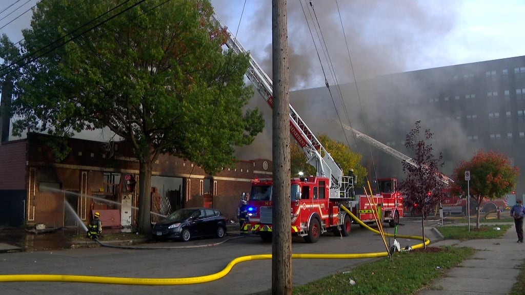 2 Minneapolis firefighters hurt in East Franklin Avenue business fire — WCCO / CBS Minnesota, Santa Cruz Health news