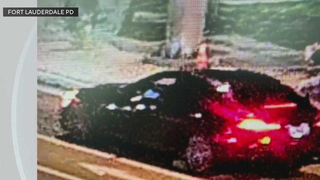 Police seek Mercedes in deadly Fort Lauderdale hit-and-run — CBS Miami, Santa Cruz Community news