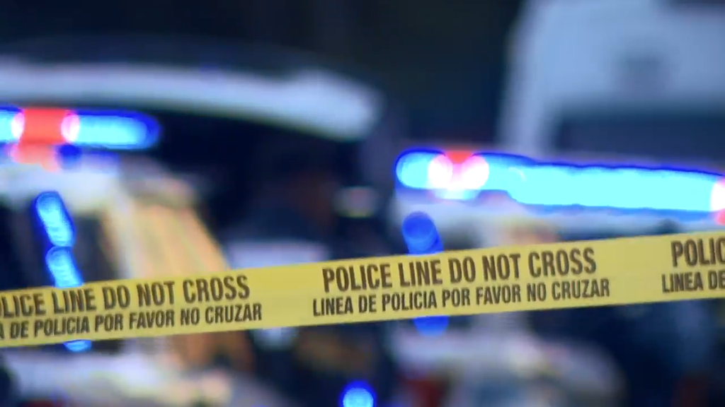 Man accused of stabbing, killing his own mother in Tamarac, BSO says — CBS Miami, Santa Cruz Health news
