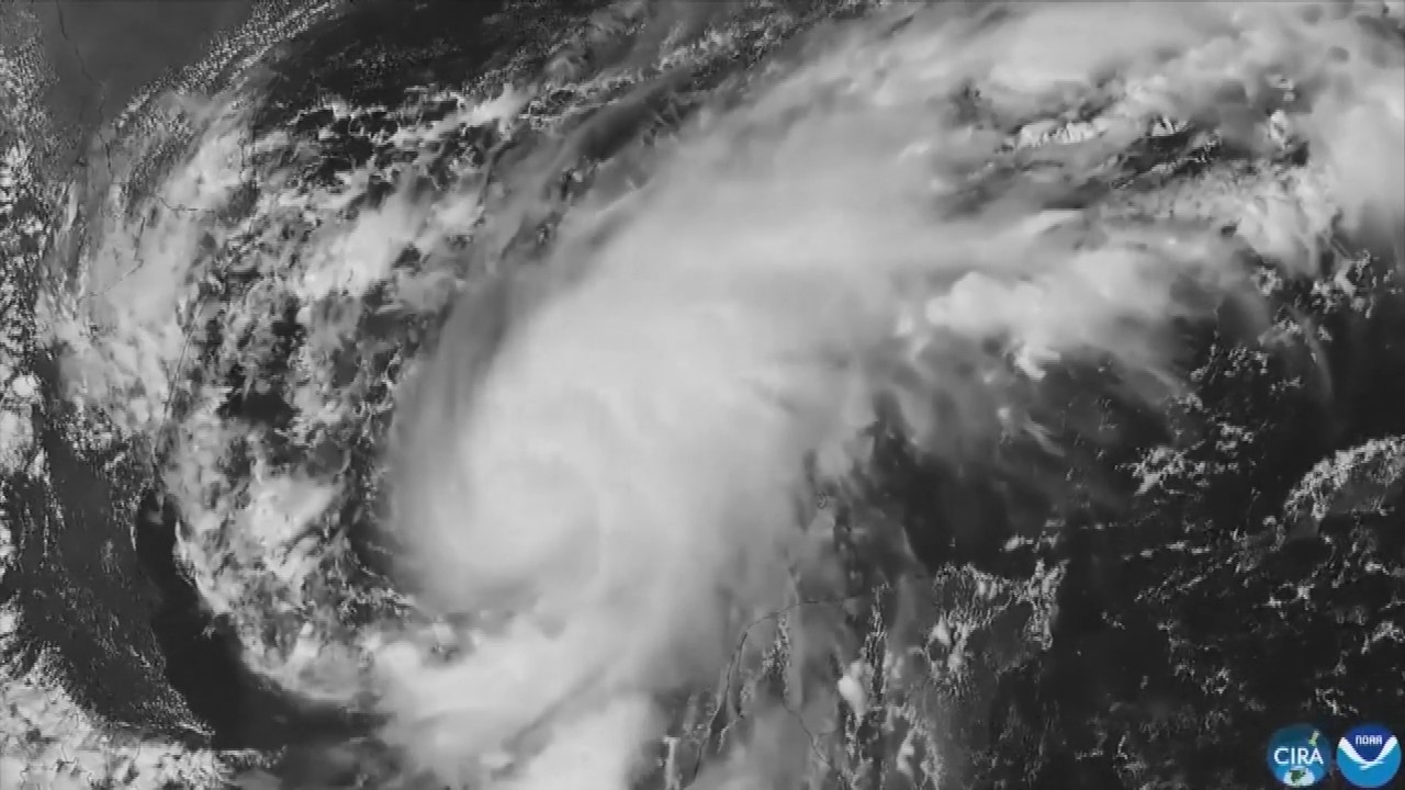 Hurricane Isaias: Residents board up windows and National Guard troops deploy as storm nears US Gulf Coast
— ABC 7 Bay Area, Santa Cruz Sports news