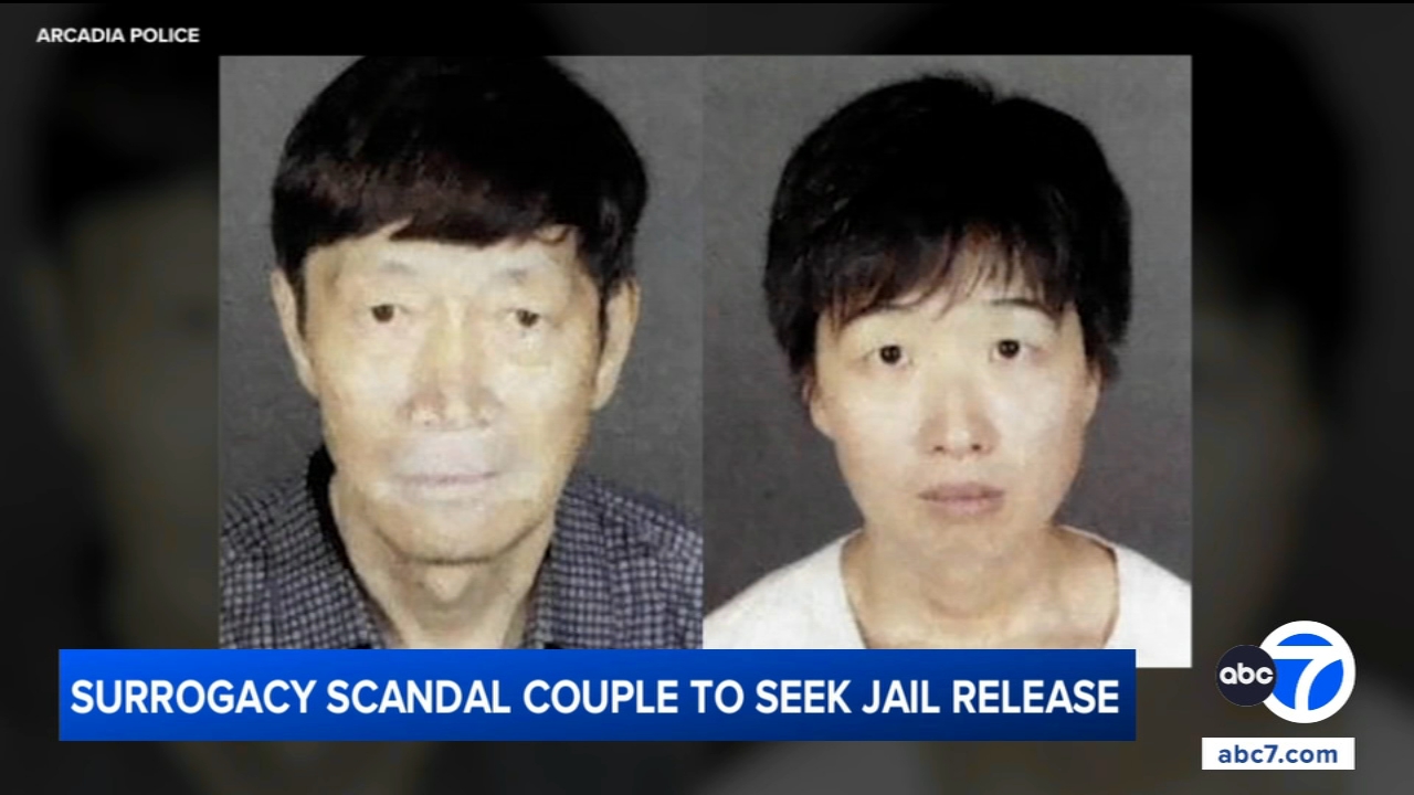 California couple accused in surrogacy scandal to seek release from jail, attorneys say
       — ABC 7 Bay Area, Santa Cruz Community news