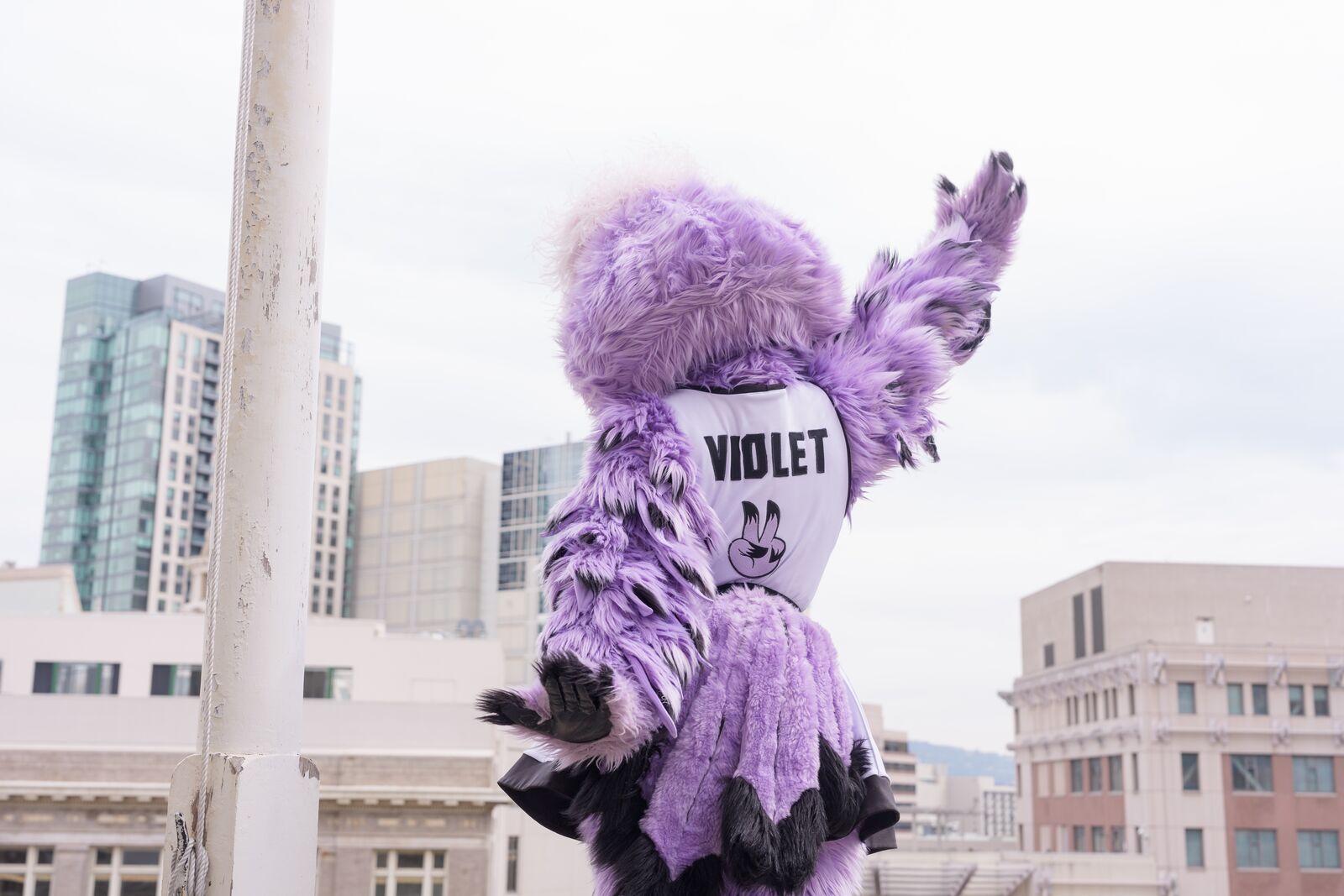 This week in Oakland: an outdoor Valkyries watch party, and singersongwriter Laura Anglade at Yoshi’s — The Oaklandside, Santa Cruz Arts news