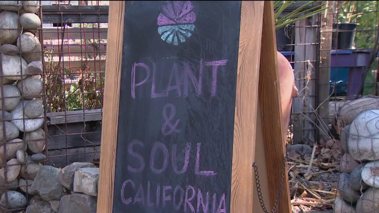 San Jose community garden faces possible eviction — KTVU FOX 2 Bay Area, Santa Cruz Schools news