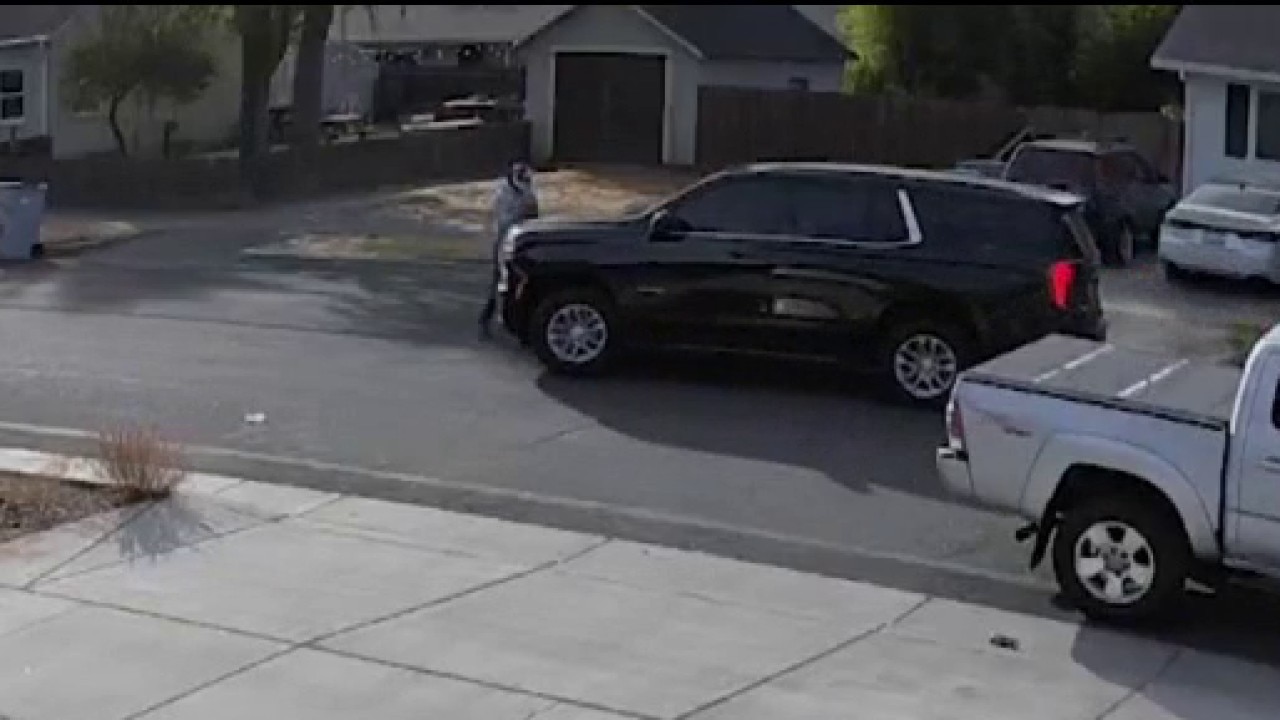 Pedestrian hit by federal immigration agent's vehicle in Yolo County — KTVU FOX 2 Bay Area, Santa Cruz Community news