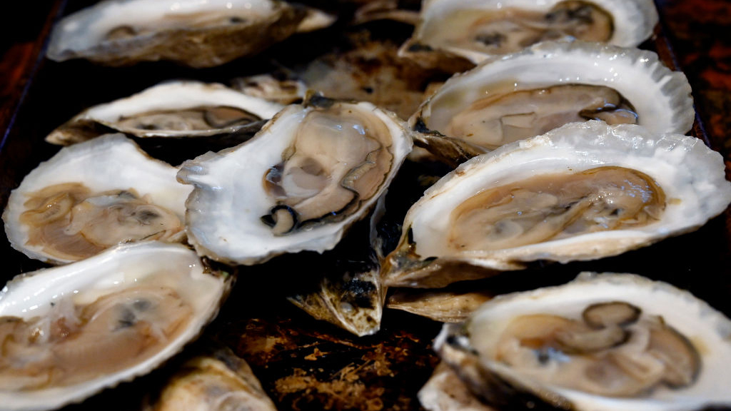 Sewage leak temporarily halts Tomales Bay oyster harvest — KTVU FOX 2 Bay Area, Santa Cruz Business news