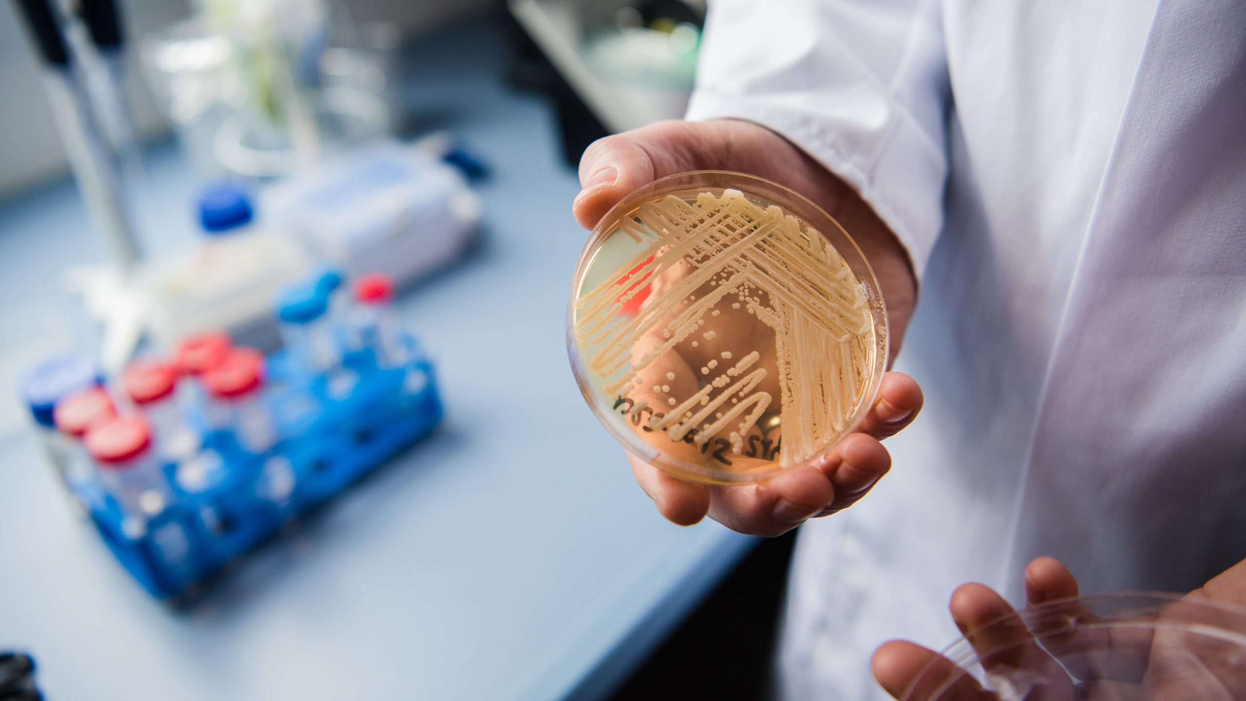 New study reveals why dangerous fungus is so difficult to treat — KTVU FOX 2 Bay Area, Santa Cruz Community news
