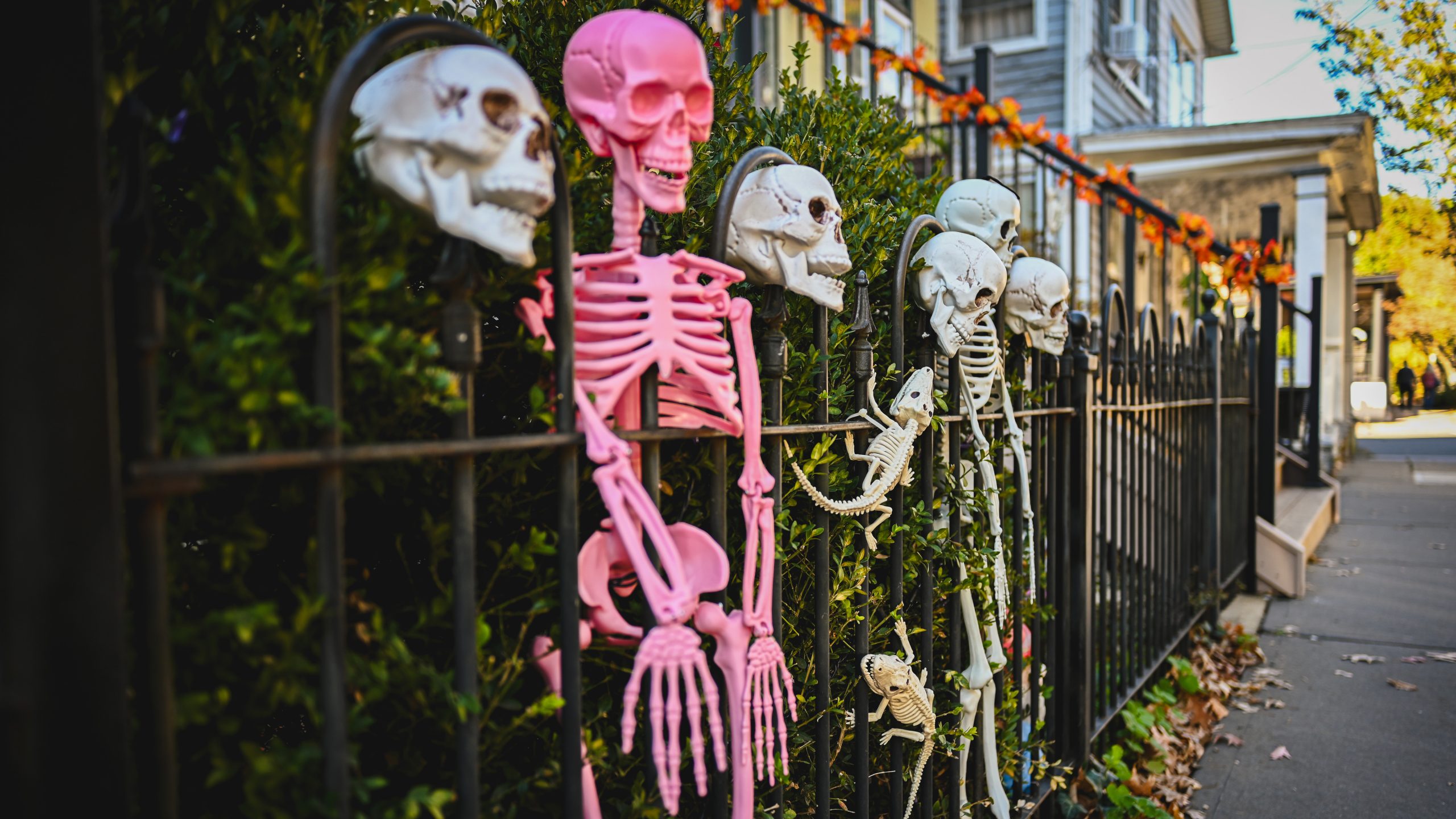 America's best cities for Halloween, ranked — KTVU FOX 2 Bay Area, Santa Cruz Community news